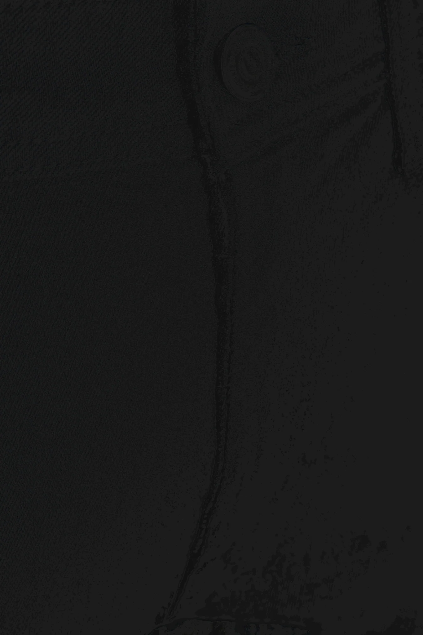 The Original Performance Jeans (Regular) - Schwarzer Denim - Image 16